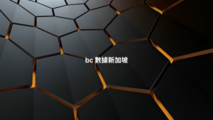 bc 數據新加坡